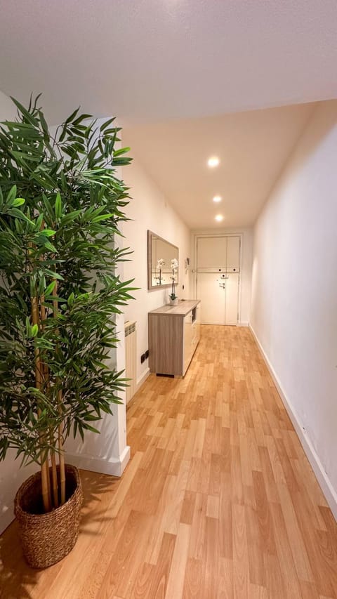 Vista Apuana Central Flat - Beach House Apartment in Marina di Carrara