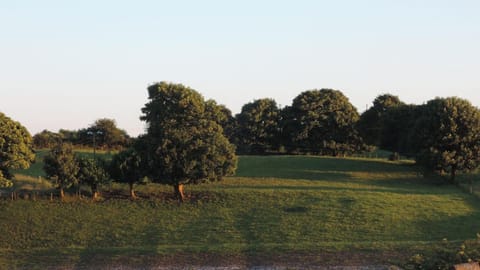 Green Acres Self Catering House in County Mayo