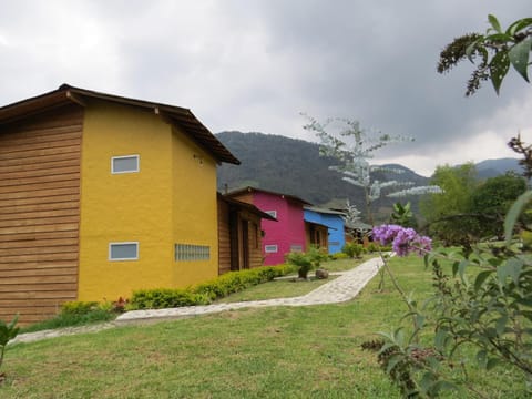 Gallito de las Rocas Guest House Capanno nella natura in Jardín