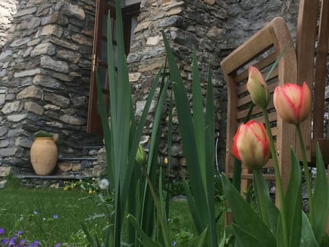 La Stregatta Alojamiento y desayuno in Liguria