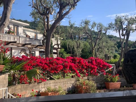 Villa Giovanna Bed and Breakfast in Priora