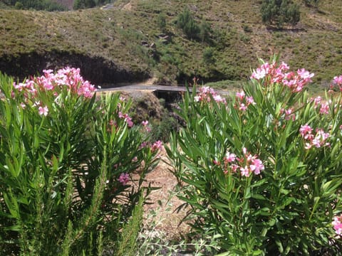 Garden view, Mountain view, River view