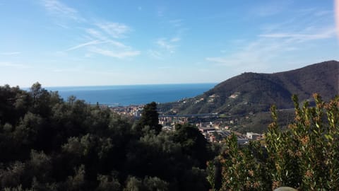 Sea view