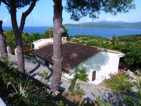 Property building, Day, Natural landscape