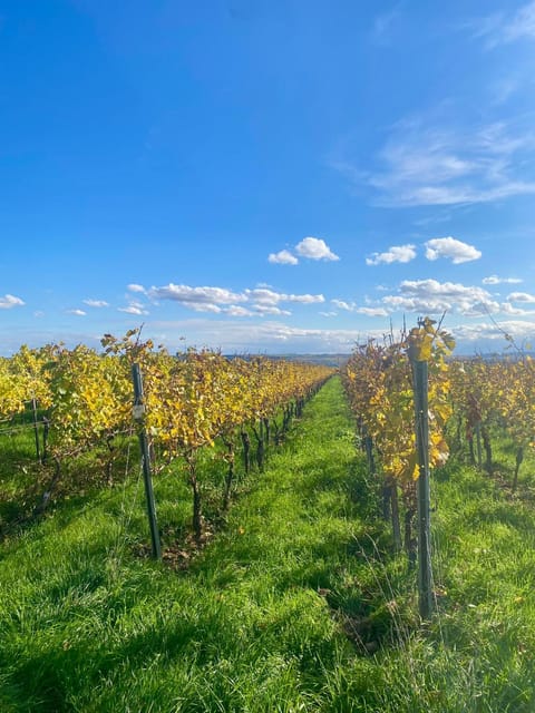 Day, Natural landscape, Hiking, Cycling