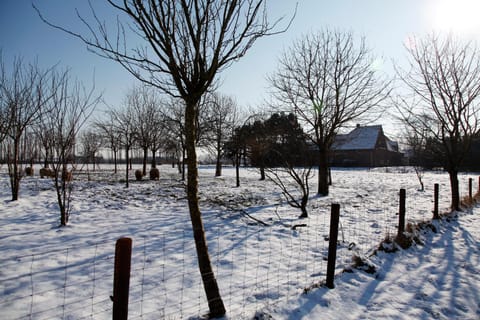 Property building, Natural landscape, Garden view