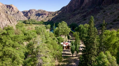 Garden, Mountain view