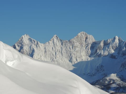 Natural landscape