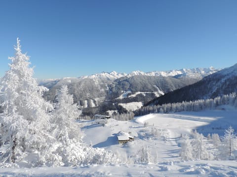 Winter, Skiing