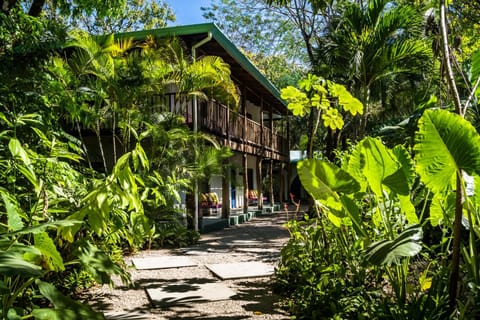 The Sunset Shack Hotel in Guanacaste Province