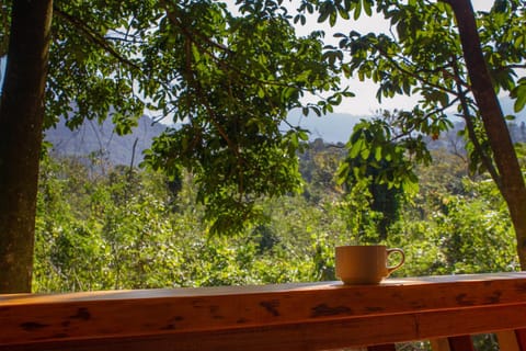 Don Pascual Bed and Breakfast in Rio de Janeiro