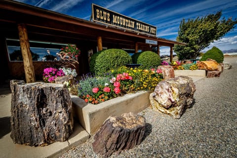 Blue Mountain RV Park Campground/ 
RV Resort in Blanding