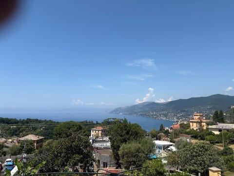 City view, Sea view