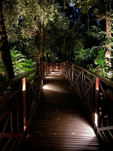 Night, Natural landscape, Garden