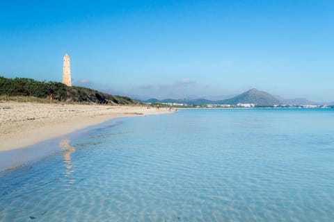 Natural landscape, Beach