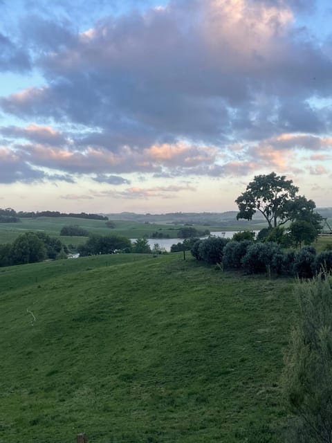 Cosy Cabin -Off Grid Cabin in Te Arai