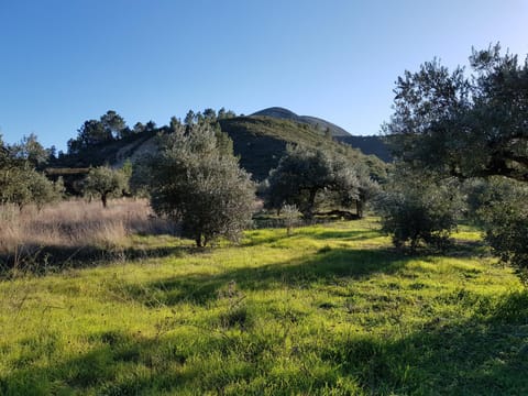 Hiking, Cycling