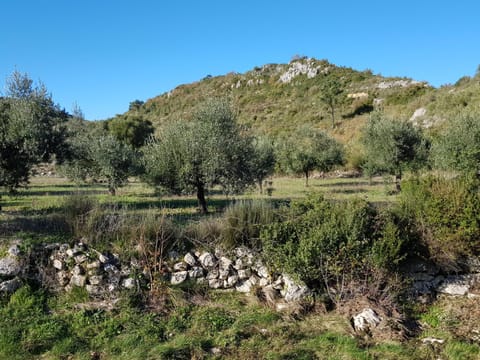 Hiking, Cycling