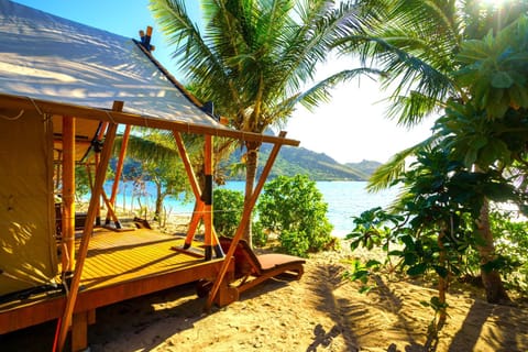 Natural landscape, Beach, Sea view, sunbed