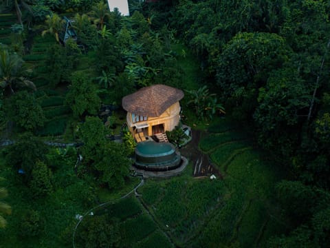 Property building, Natural landscape, Garden, Pool view