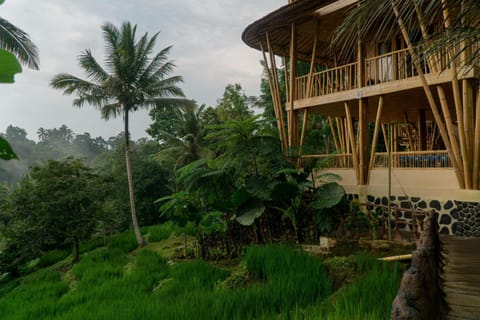 Property building, Day, Natural landscape