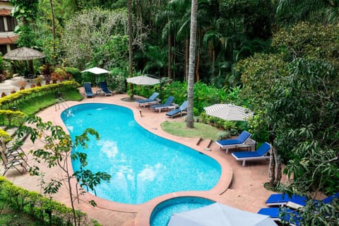 Day, Natural landscape, Garden, Balcony/Terrace, On site, Swimming pool, Swimming pool, Swimming pool