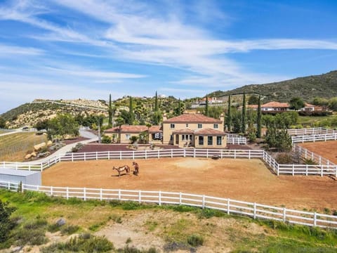 Natural landscape, Horse-riding, Mountain view