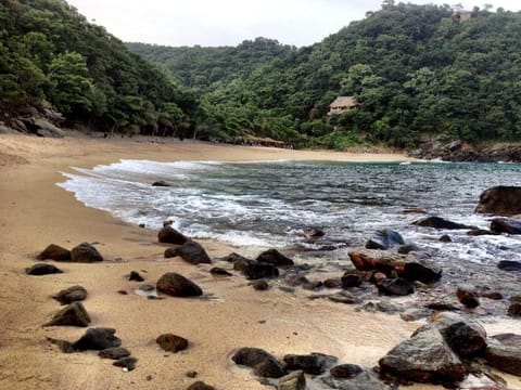 Casa Luna Playa Hotel in State of Oaxaca