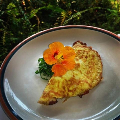 Hale Hualalai Übernachtung mit Frühstück in Kalaoa
