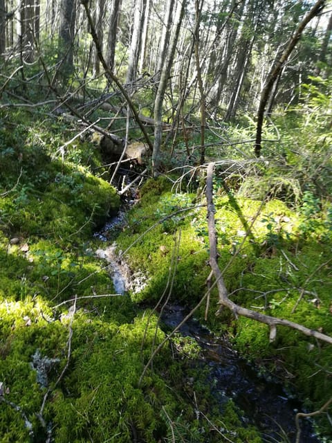 Alapiha Apartments Apartment in Uusimaa