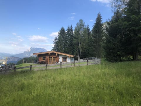 Property building, Summer
