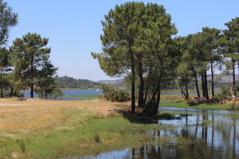 Fishing, Garden, Beach, Canoeing, Hiking, Lake view, Lake view