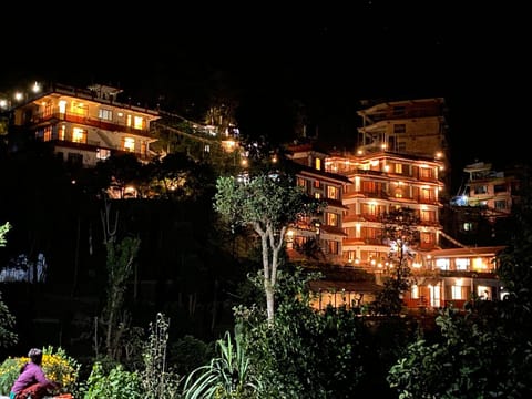 Property building, Night, Garden