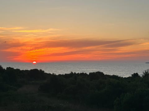 Apartment Puntamika Apartment in Zadar