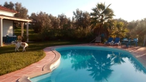 Monte das Beatas - Alojamento Local Bed and Breakfast in Beja District