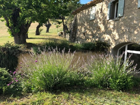 Patio, Garden, Garden view