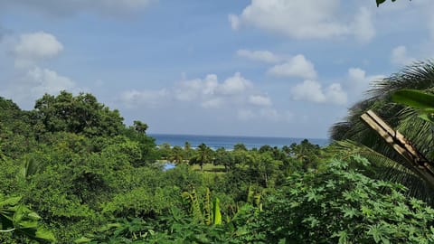 Nearby landmark, Natural landscape, Sea view, Sea view