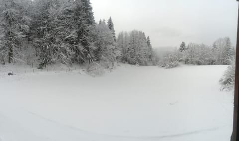 Natural landscape, Winter, View (from property/room)