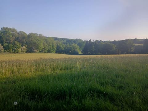 Deer Barn Retreats Luxury tent in Wellington