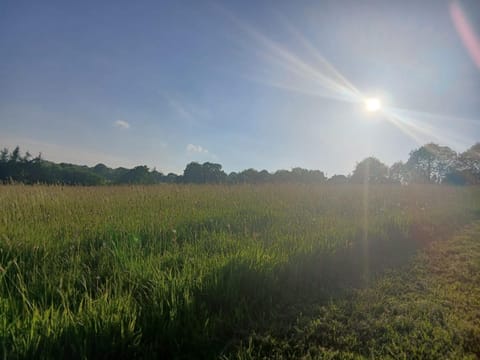 Deer Barn Retreats Luxury tent in Wellington