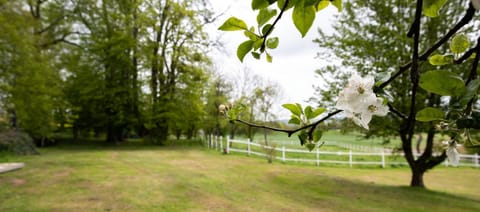 Property building, Garden