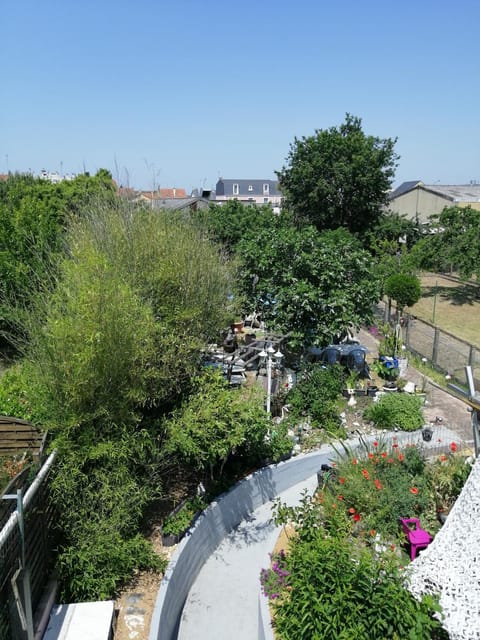 Natural landscape, Bird's eye view, Garden, Garden view