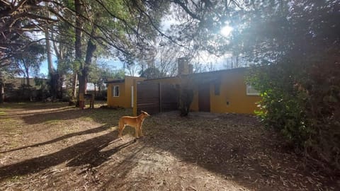 La Nilda Country House in Tandil