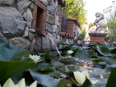 Garden, Decorative detail