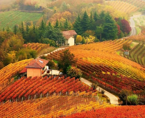 Autumn