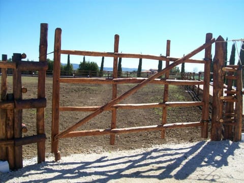 Il Vivaio House in Lazio