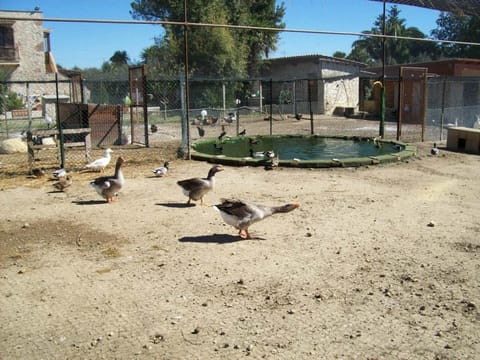 Il Vivaio House in Lazio