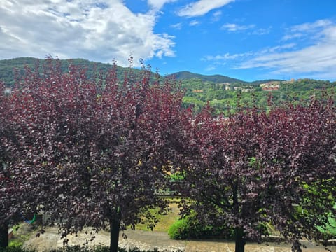 Garden, Garden view