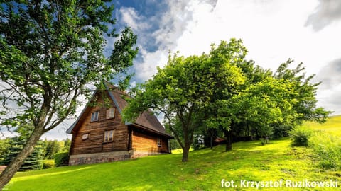 Property building, Spring, Day, Natural landscape, Garden, View (from property/room), Garden view