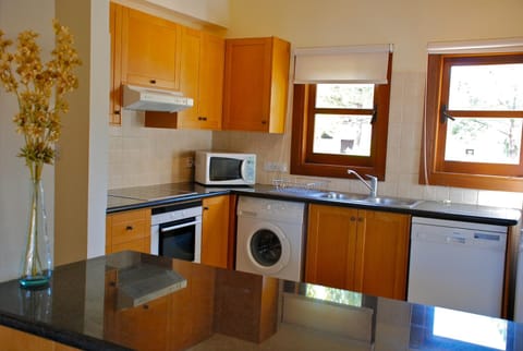 Kitchen or kitchenette, Photo of the whole room, Garden view